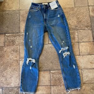 Abercrombie & Fitch Curve Love Mom High Rise Jeans